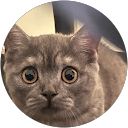 Aurimas profile picture